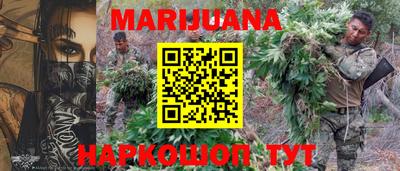 сатива Бузулук