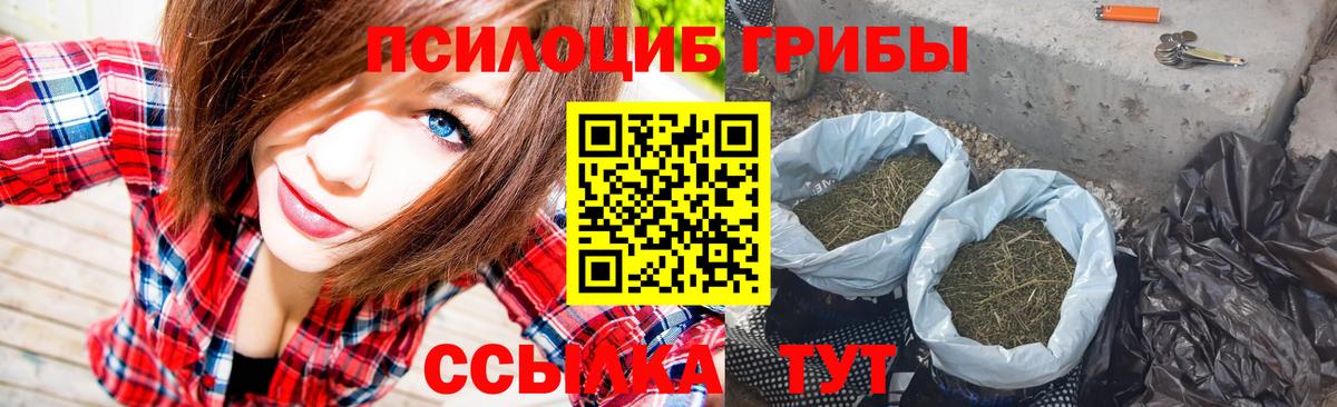 Галлюциногенные грибы MAGIC MUSHROOMS  Вход с VPN  Галлюциногенные грибы Magic Shrooms  Коркино 